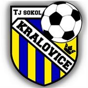 TJ Sokol Kralovice