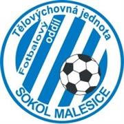 TJ Sokol Malesice