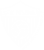 SFK Vrchovina