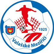 TJ Valašské Meziříčí, spolek