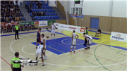 Královští sokoli vs. Basket Brno