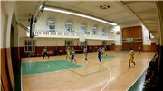 Sokol Nusle vs. HB Aritma