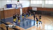 BK Snakes Ostrava vs. Sokol Písek Sršni