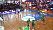 Žabiny Brno vs. KP Brno