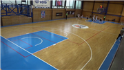 BK Lokomotiva  Plzeň vs. Sokol Písek Sršni