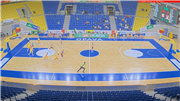 BK Opava vs. Tygři Brno